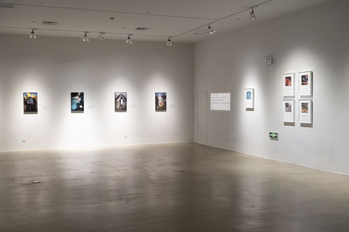 看展览 15位中国摄影艺术家眼中的多彩法兰西与礼仪服务